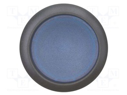 Switch: push-button; Stabl.pos: 2; 22mm; blue; IP67; Pos: 2; Ø22.5mm