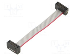 Ribbon cable with IDC connectors; Tape ph: 0.64mm; 50.8mm