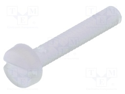 Screw; M2x12; 0.4; Head: cheese head; slotted; 0,6mm; polyamide