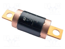 Fuse: fuse; 300A; 500VDC; automotive; 93mm; M8 screw