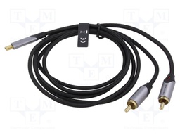 Cable; RCA plug x2,USB C plug; gold-plated; 0.5m; black; Core: Cu