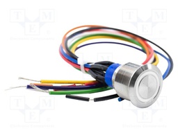 Switch: vandal resistant; Pos: 2; DPDT; 3A/250VAC; IP67; ON-(ON)