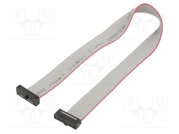 Ribbon cable with IDC connectors; Tape ph: 0.64mm; 203.2mm
