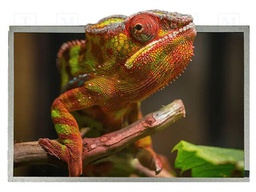 Display: TFT; 12.1"; 1280x800; Illumin: LED; RGB; Interface: LVDS