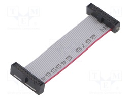 Ribbon cable with IDC connectors; Tape ph: 0.64mm; 50.8mm