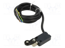 Limit switch; lever R 35mm, plastic roller Ø18mm; NO + NC; 10A