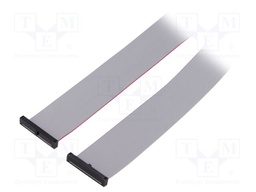 Ribbon cable with IDC connectors; Tape ph: 0.64mm; 609.6mm