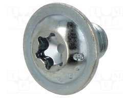 Screw; with flange; M6x8; 1; Head: button; Torx®; TX30; steel; zinc