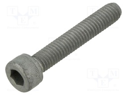 Screw; M6x35; 1; Head: cheese head; hex key; steel; DIN 912