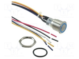 Switch: vandal resistant; Pos: 2; SPDT; 2A/24VDC; IP65; ON-(ON)