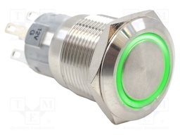 Switch: vandal resistant; Pos: 2; DPDT; 2A/24VDC; IP65; ON-ON; green